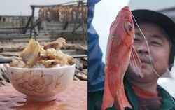 Khô cá Trạm Giang - thức quà bắt buộc trên bàn tiệc và tiếng gọi hồi hương của người xa xứ