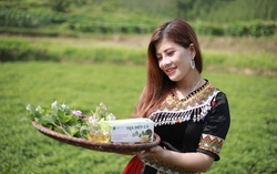 Chuyển đổi số là chìa khóa giúp bứt phá, phát triển thương hiệu sản phẩm nông nghiệp nông thôn