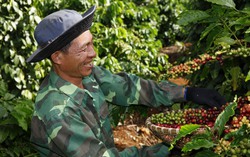 Hợp tác công tư nhằm giảm phát thải và phát triển nông nghiệp bền vững