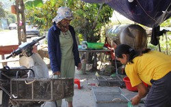 Kiếm tiền triệu mỗi ngày nhờ săn loại động vật phá hoại mùa màng