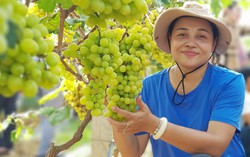 Cần có giải pháp thúc đẩy phụ nữ tham gia trồng cây xanh, bảo vệ rừng