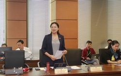 ĐBQH Hà Thị Nga: Đề nghị xây dựng bộ nhận diện hành vi rửa tiền phù hợp thông lệ quốc tế