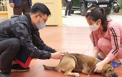 Cảnh báo của chuyên gia từ trường hợp tử vong do giết mổ chó