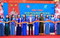 Trung tâm Phụ nữ và Phát triển với các hoạt động hướng tới phụ nữ yếu thế