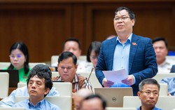 5 nhóm hành vi bạo lực gia đình cần được bổ sung vào dự thảo luật
