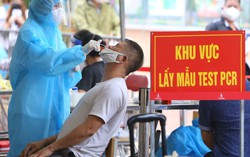 Cuộc sống đã trở lại bình thường, vì sao Việt Nam chưa công bố chấm dứt dịch Covid-19?