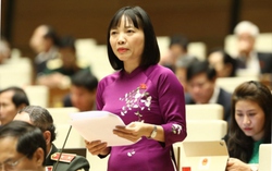 Cần xem xét lại việc thực hiện "công việc phục vụ cộng đồng" với người gây bạo lực gia đình