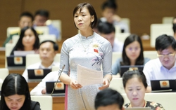 Cần quy định bồi thường bằng tài sản riêng của người có hành vi bạo lực gia đình