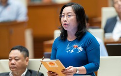 Đại biểu Quốc hội: Đề nghị tăng lương để giữ chân công chức, viên chức 