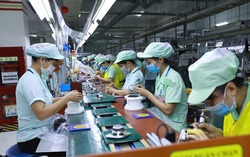 Hỗ trợ doanh nghiệp tham gia phòng ngừa, ứng phó với quấy rối tình dục tại nơi làm việc