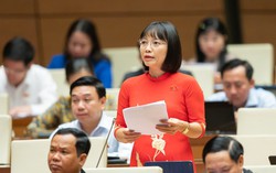 Tốc độ tăng năng suất lao động xã hội là chỉ tiêu duy nhất ước không đạt