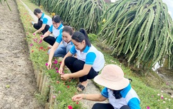 Mô hình "5 không, 3 sạch": Bảo vệ môi trường, góp phần thực hiện tiêu chí nông thôn mới nâng cao