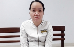 Đà Nẵng: Bắt tạm giam nữ kế toán tham ô tài sản tại trường mầm non