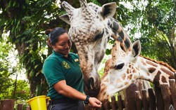 Bước ngoặt làm thay đổi cuộc đời cô gái trẻ: Từ nhà làm phim thành nhân viên chăm sóc các con thú