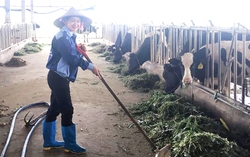 Hướng dẫn người nghèo có kiến thức, kinh nghiệm lao động sản xuất, chủ động vươn lên thoát nghèo
