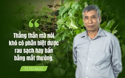 Chuyên gia dinh dưỡng "mách" 4 tiêu chí khi chọn rau 