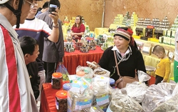 Phụ nữ Hà Giang nắm "cơ hội vàng" phát triển sản phẩm OCOP