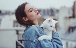 Dấu hiệu bất ngờ của một người sở hữu IQ cao
