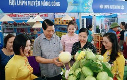 Thanh Hoá: Tôn vinh ý tưởng, sản phẩm sáng tạo tiêu biểu của hội viên