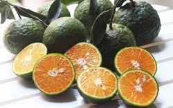 3 loại trái cây mẹ bầu không nên ăn vào buổi tối