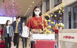 Lên kế hoạch du xuân, đừng bỏ lỡ trăm nghìn vé bay Vietjet khuyến mãi tới 90%