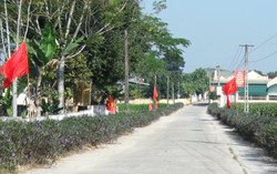 Đường hoa phụ nữ xã Xuân Giang – tô thắm diện mạo nông thôn mới