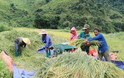 Đổi thay trên vùng biên viễn