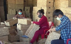 Long An: Giúp hơn 650 hộ có phụ nữ thoát nghèo và cận nghèo
