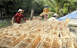 Các cấp Hội LHPN tỉnh Hậu Giang giúp hơn 1.900 hộ thoát nghèo
