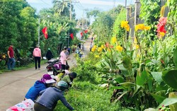 Cụm thi đua Hội LHPN các tỉnh Đông Nam Bộ thực hiện hơn 10.000 hoạt động xây dựng nông thôn mới