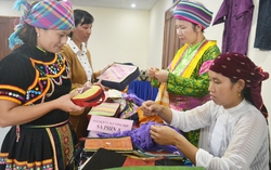 Phát triển kinh tế gắn với tiềm năng văn hóa vùng dân tộc thiểu số và miền núi