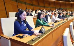 Quốc hội "chốt" khởi điểm đấu giá biển số ô tô là 40 triệu đồng