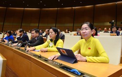 Nhiều sai phạm gây lãng phí, thất thoát kéo dài, không thể giải quyết ngay trong năm 2023