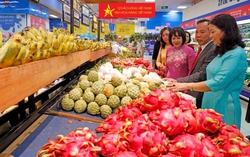 Bí quyết đưa hàng Việt vào các hệ thống phân phối hiện đại
