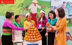 Hội LHPN Việt Nam triển khai Cuộc vận động “Người Việt Nam ưu tiên dùng hàng Việt Nam” gắn với hỗ trợ phụ nữ khởi nghiệp