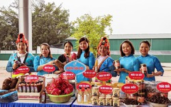 Xúc tiến thương mại, góp phần thực hiện mục tiêu giảm nghèo cho đồng bào vùng dân tộc thiểu số và miền núi 