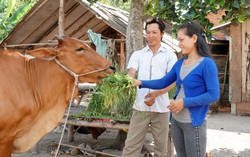 Tây Ninh: Giúp 475 hộ phụ nữ thoát nghèo theo tiêu chí nghèo đa chiều