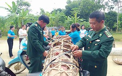 Thanh Hoá: Hỗ trợ giống lợn lai kinh tế cho phụ nữ xã biên giới huyện Lang Chánh