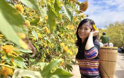 Nỗ lực để nghề dệt thổ cẩm song hành cùng đồng bào Tây Nguyên