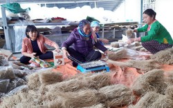 Cơ sở sản xuất miến dong giúp nhiều phụ nữ khó khăn xóa đói giảm nghèo