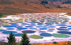 Tại sao hồ 'Polka Dot' của Canada có thể là một hồ bơi có khả năng chữa bệnh