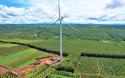 7 nhiệm vụ, giải pháp chủ yếu phát triển kinh tế - xã hội vùng Tây Nguyên đến năm 2030
