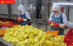 Kết nối nguồn lực, tăng hiện diện của hàng Việt vào thị trường châu Âu