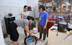 Quảng Ninh: Các mô hình bảo vệ môi trường mang lại hiệu quả thiết thực