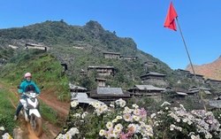 Thương trò, cô vượt non cao, gieo chữ trên đá...