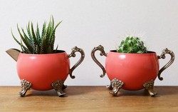 Gợi ý 3 cách trồng cây, trồng hoa cực đẹp trong bộ ấm chén cũ