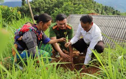 Đa dạng hóa các mô hình kinh tế giúp người dân vùng cao thoát nghèo