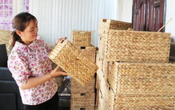 Mô hình đan lục bình, nuôi rắn giúp phụ nữ thoát nghèo bền vững
