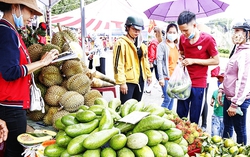Khánh Hòa: Hiệu quả từ mô hình Tổ phụ nữ thu mua nông sản thị trấn Tô Hạp