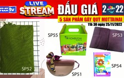 11h30 ngày 25/11: Livestream đấu giá 5 sản phẩm gây quỹ Mottainai 2022